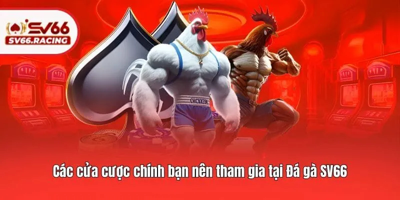 Các cửa cược chính bạn nên tham gia tại Đá gà SV66