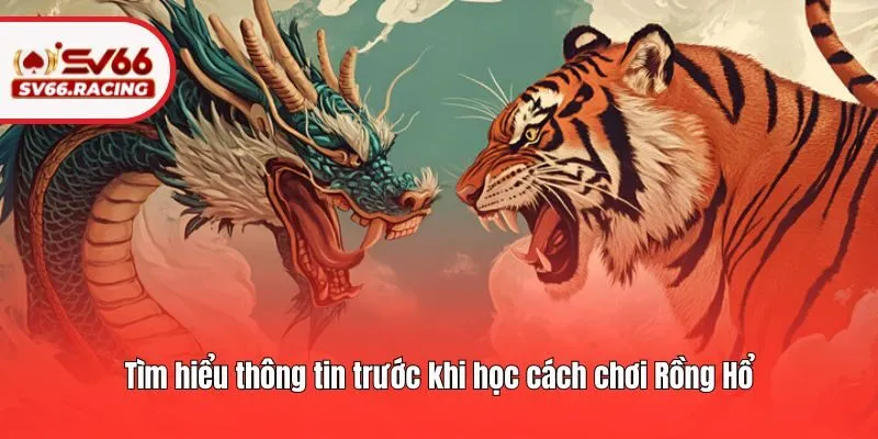 Tìm hiểu thông tin trước khi học cách chơi Rồng Hổ